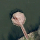 Illustration for article titled Whoa, Did Google Maps Just Reveal a Bloody Gruesome Murder?